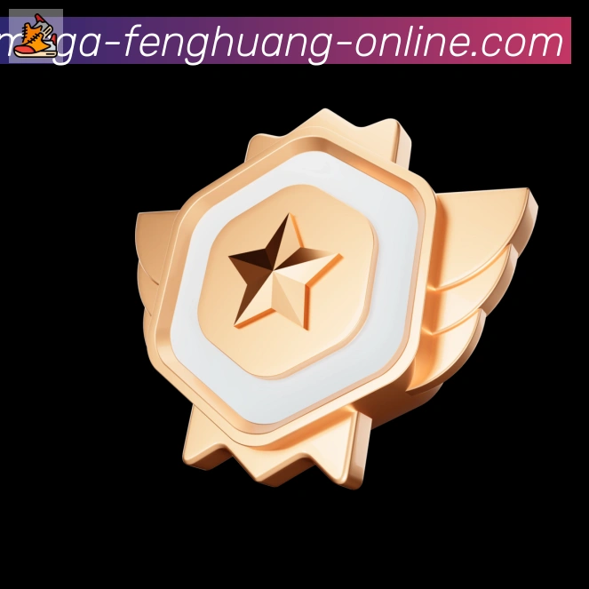 奖项证书